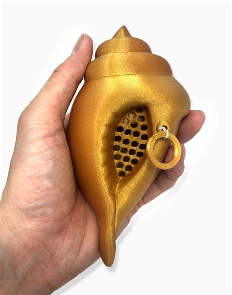 Curse or Blessing? The Enigma of the Spongebob Occult Conch Toy